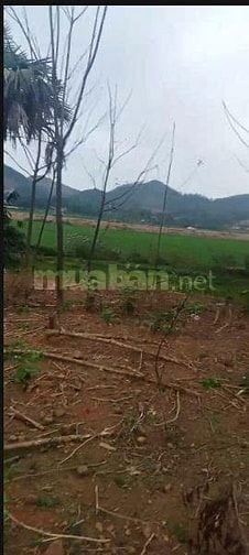 Bán lô đất thổ cư xã Thạch Khoán, huyện Thanh Sơn, Phú Thọ 