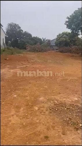 Bán lô đất thổ cư xã Thạch Khoán, huyện Thanh Sơn, Phú Thọ 