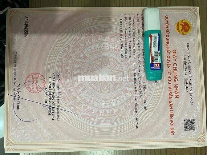 MT Đường Trần Vĩnh Lộc,An Viễn kinh doanh sầm uất sát kcn