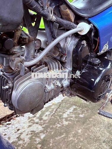 Honda Wave Alpha 110 Xanh