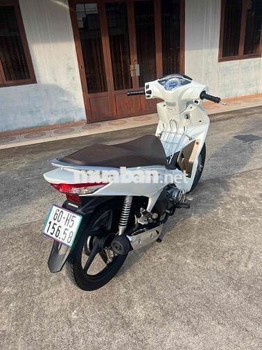 Honda Future Fu LED Trắng