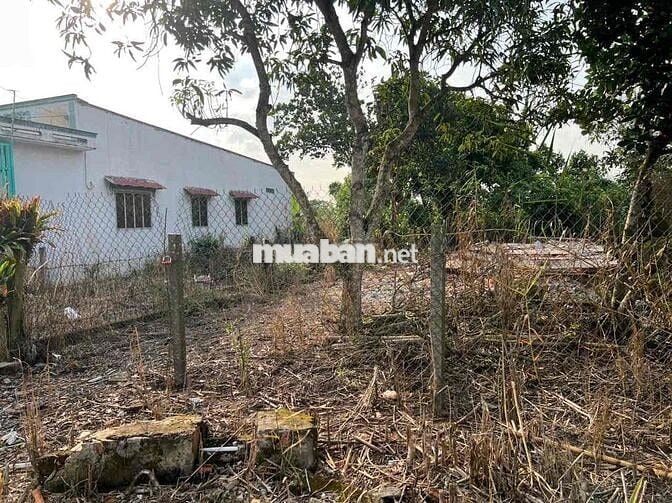 Đất Nền Thổ Cư 2 Nền Song Sinh