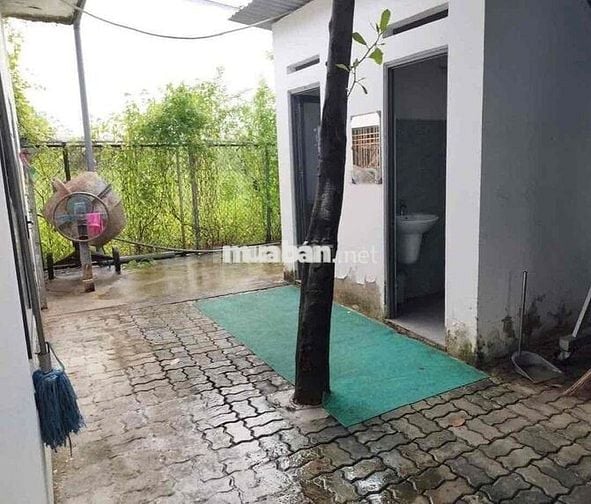 Cần cho thuê gấp kho Huỳnh Tấn Phát diện tích 500m2 xe cont tận cửa