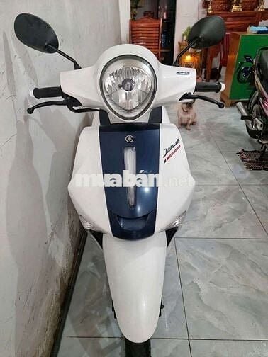 Yamaha Janus Limited Edition Trắng xanh