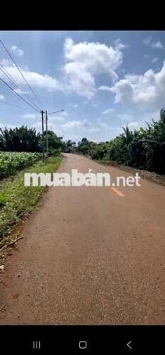 BÁN 3000M2 ĐẤT TRUNG TÂM XÃ LONG TÂN GIÁ 9TỶ, CƠ HỘI ĐẦU TƯ