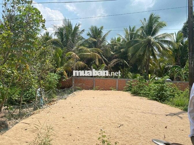 Đất nền Vĩnh Long 106m2- 350 triệu