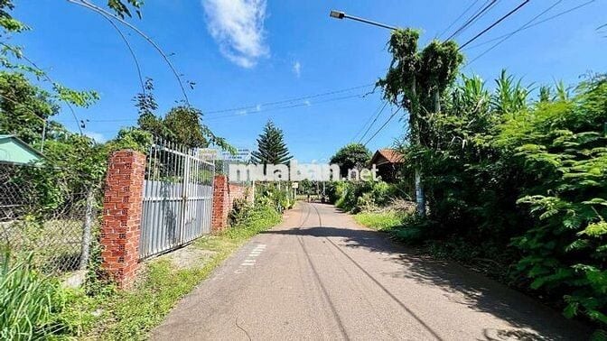 MẶT TIỀN NGUYỄN THỊ ĐỊNH – TRUNG TÂM THỊ TRẤN ĐẤT ĐỎ
📐