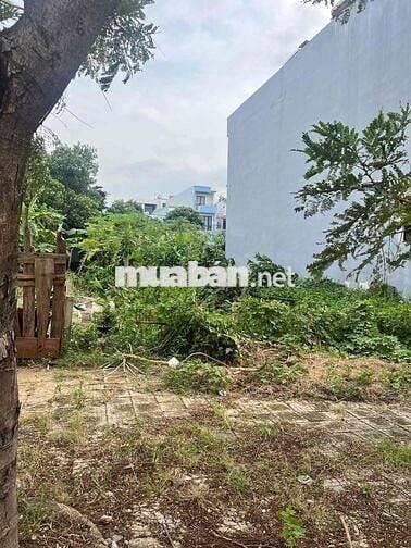 Bán Đất ĐOÀN KHUÊ _ ĐƯỜNG 11m5 _ NAM VIỆT Á _ SẠCH ĐẸP