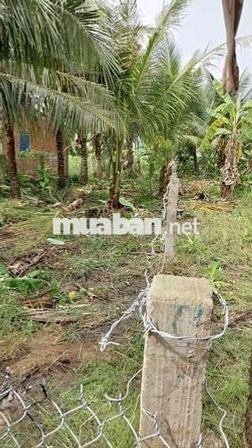 Cần bán lô đất cách Tỉnh lộ 871B 80m, gần khu công nghiệp Gia Thuận