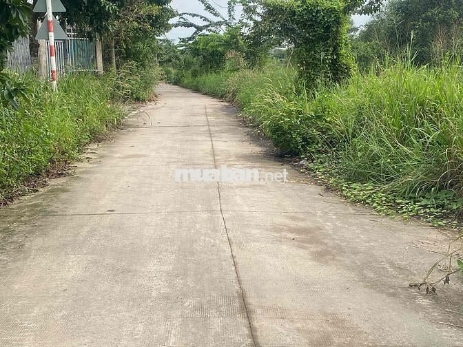 chín chu gửi đất nhi bình (5x34) giá 5 ty 5