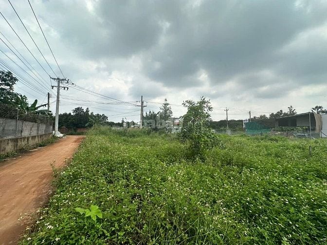 BÁN ĐẤT MẶT TIỀN NGUYỄN THẾ TOÀN – GIÁ TỐT, SỔ RIÊNG 