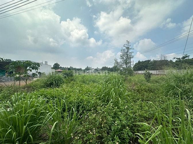 BÁN ĐẤT MẶT TIỀN NGUYỄN THẾ TOÀN – GIÁ TỐT, SỔ RIÊNG 