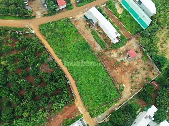 BÁN ĐẤT MẶT TIỀN NGUYỄN THẾ TOÀN – GIÁ TỐT, SỔ RIÊNG 