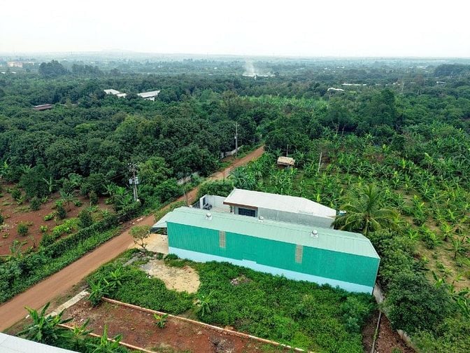 BÁN ĐẤT MẶT TIỀN NGUYỄN THẾ TOÀN – GIÁ TỐT, SỔ RIÊNG 