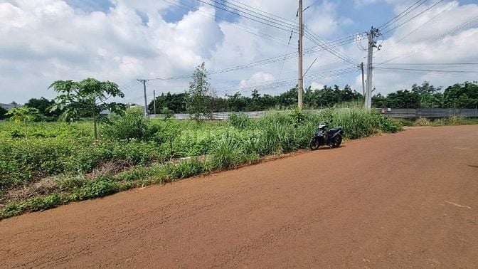 BÁN ĐẤT MẶT TIỀN NGUYỄN THẾ TOÀN – GIÁ TỐT, SỔ RIÊNG 