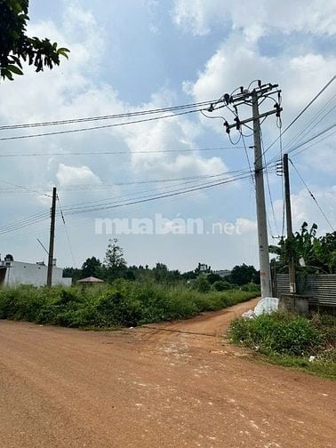 BÁN ĐẤT MẶT TIỀN NGUYỄN THẾ TOÀN – GIÁ TỐT, SỔ RIÊNG 