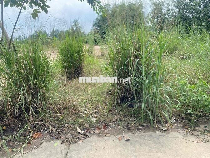 chín chu gửi đất nhi bình (5x34) giá 5 ty 5