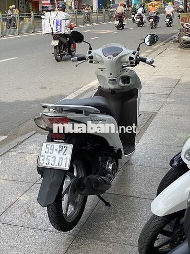 vision 2016bstp, bao ngon zin