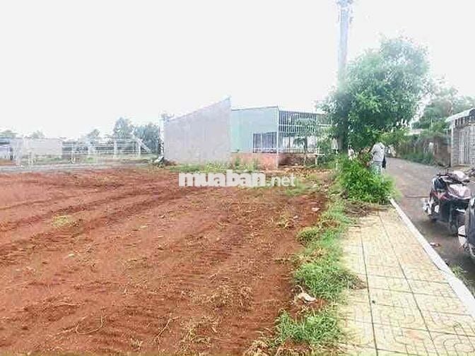 Kẹt Tiền Bán Gấp Đất Gần Thị Trấn Dầu Tiếng