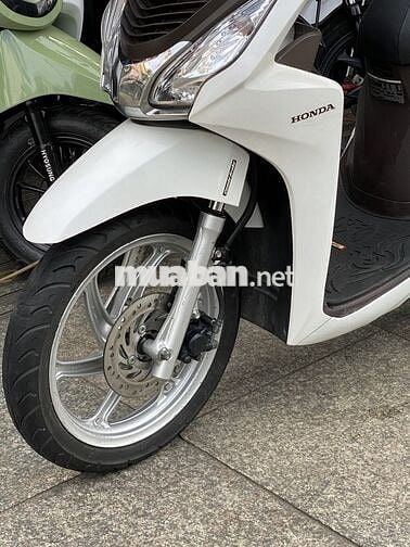 vision 2016bstp, bao ngon zin