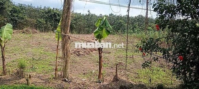 Bán đất 2 mặt tiền An Bình 83. Ngay KCN. Giá nát