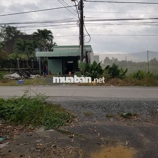 Cần sang lại 6000m2 vườn hợp đồng 5 năm