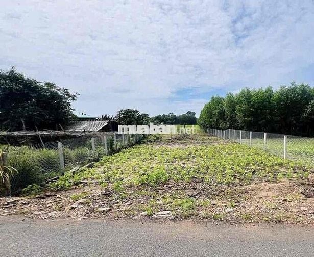 Chỉ 300tr mua được đất TP HCM 225m2 có thổ cư mt đường nhựa thông DH