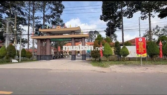 MẶT TIỀN KINH DOANH ĐỐI DIỆN TRƯỜNG HỌC ĐẤT TP.HCM-281M2-GIÁ CHỈ 650TR