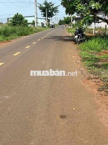 Chỉ 300tr mua được đất TP HCM 225m2 có thổ cư mt đường nhựa thông DH