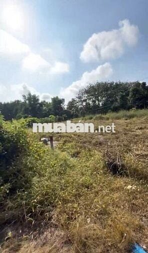 MẶT TIỀN KINH DOANH ĐỐI DIỆN TRƯỜNG HỌC ĐẤT TP.HCM-281M2-GIÁ CHỈ 650TR