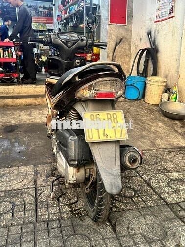 Suzuki Hayate màu Nâu vàng