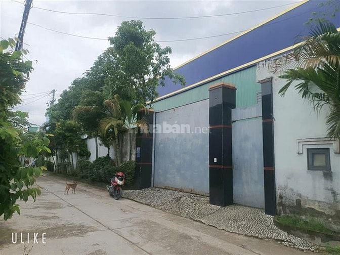 GẤP BÁN NHÀ XƯỞNG DT 980M2 NGAY GẦN NGUYỄN THỊ TÚ DÒNG TIỀN 70TR/THÁN