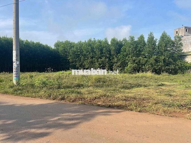 Đất nền sổ riêng thổ cư Hưng Thịnh 1t050 dt 149m2 kinh doanh buôn bán