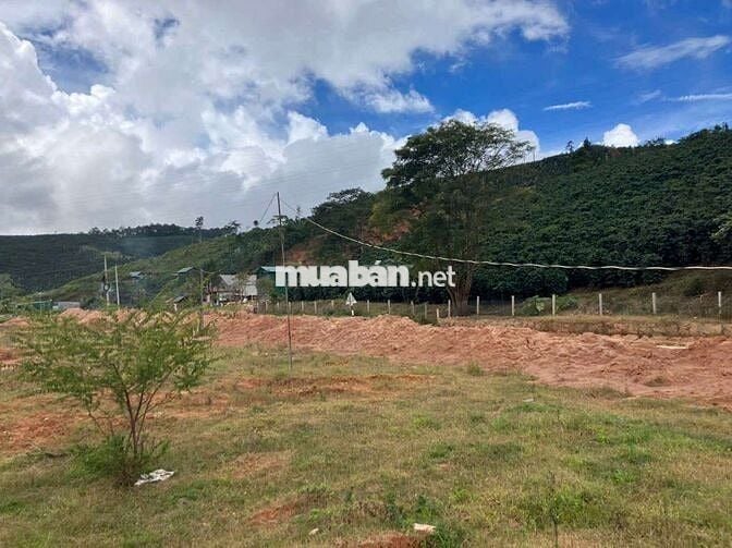 🎯 BÁN ĐẤT KHU DU LỊCH, MẶT TIỀN ĐT.722, LẠC DƯƠNG, LÂM ĐỒNG, ĐÀ LẠT
