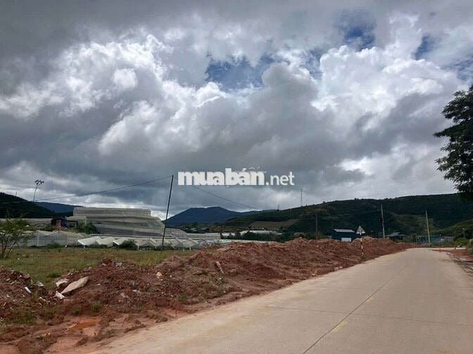 🎯 BÁN ĐẤT KHU DU LỊCH, MẶT TIỀN ĐT.722, LẠC DƯƠNG, LÂM ĐỒNG, ĐÀ LẠT