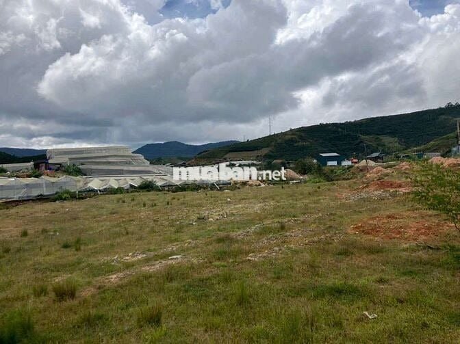 🎯 BÁN ĐẤT KHU DU LỊCH, MẶT TIỀN ĐT.722, LẠC DƯƠNG, LÂM ĐỒNG, ĐÀ LẠT