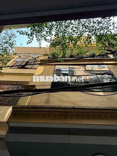 Bán Nhà Ô Chợ Dừa La Thành Xã Đàn S45m 4t mt 4 giá 16.66 tỷ