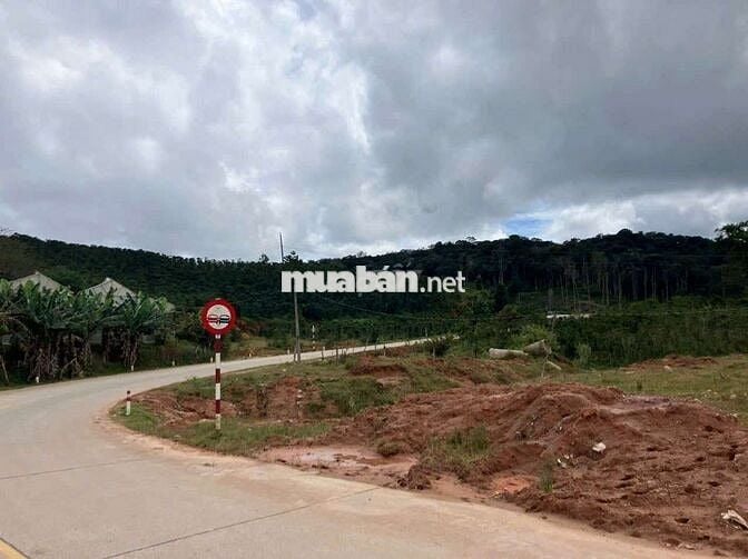 🎯 BÁN ĐẤT KHU DU LỊCH, MẶT TIỀN ĐT.722, LẠC DƯƠNG, LÂM ĐỒNG, ĐÀ LẠT