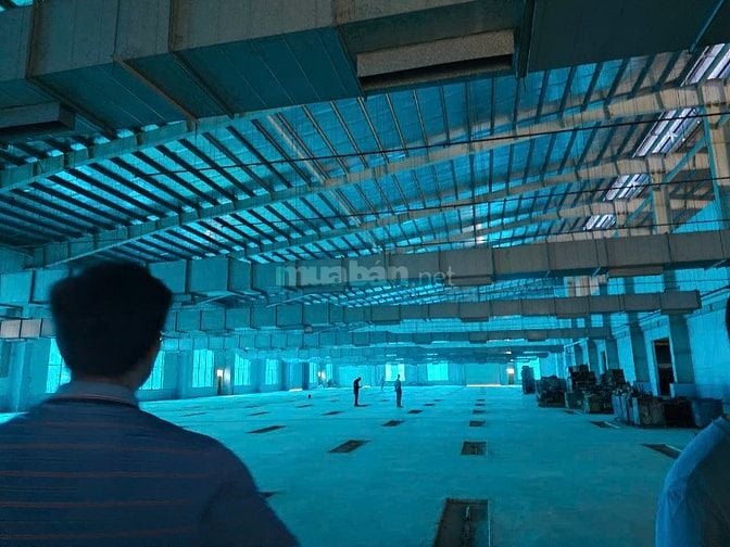 Bán kho xưởng KCN Đức Hòa , Long An, giá bán: 155 tỷ , đường container