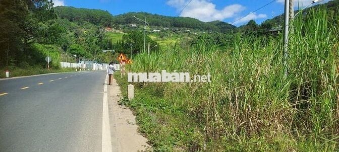 BÁN ĐẤT mặt tiền MiMosa ql20 ngang mặt tiền đường 100m