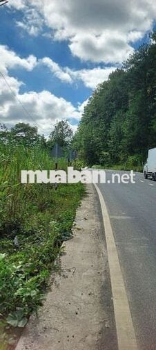 BÁN ĐẤT mặt tiền MiMosa ql20 ngang mặt tiền đường 100m