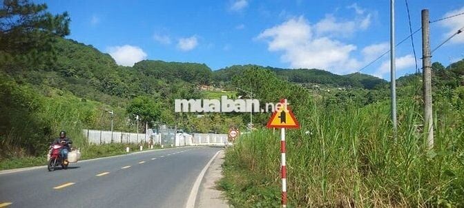 BÁN ĐẤT mặt tiền MiMosa ql20 ngang mặt tiền đường 100m