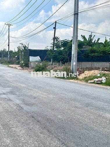 lô đất vườn mặt tiền đường Trần Hải Phụng, đường container dt 6.407m2