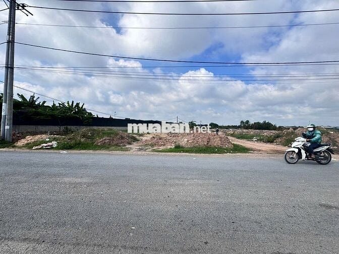 lô đất vườn mặt tiền đường Trần Hải Phụng, đường container dt 6.407m2