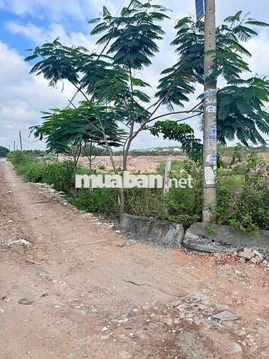 lô đất vườn mặt tiền đường Trần Hải Phụng, đường container dt 6.407m2