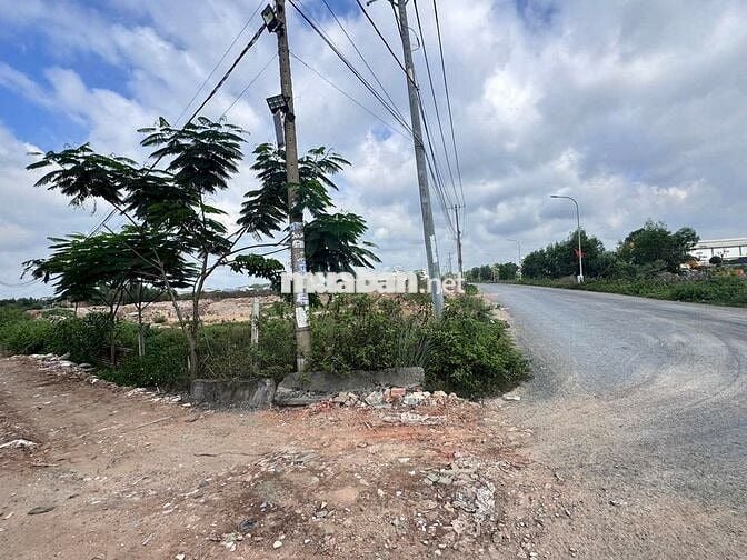 lô đất vườn mặt tiền đường Trần Hải Phụng, đường container dt 6.407m2