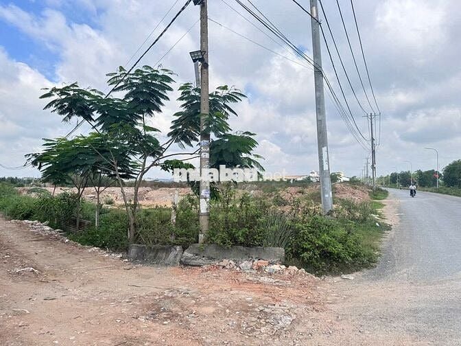 lô đất vườn mặt tiền đường Trần Hải Phụng, đường container dt 6.407m2