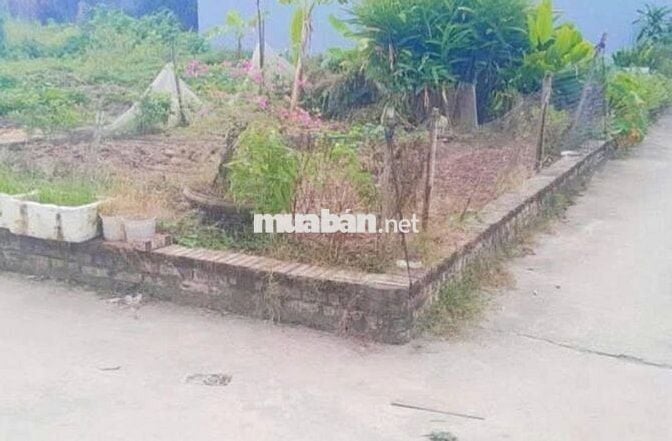 BÁN ĐẤT SÁP MAI-TRUNG TÂM SẦM UẤT-GẦN TRƯỜNG -GIÁ ĐẦU TƯ