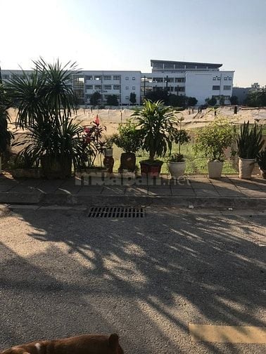 Cần nhà cấp 4, diện tích 90 m2, đất thổ cư, phố Thuý Lĩnh, P.Lĩnh Nam