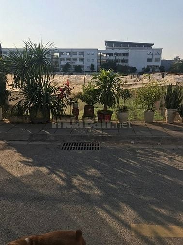 Cần nhà cấp 4, diện tích 90 m2, đất thổ cư, phố Thuý Lĩnh, P.Lĩnh Nam